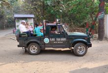 Valmikinagar Tiger Reserve Jungle Safari