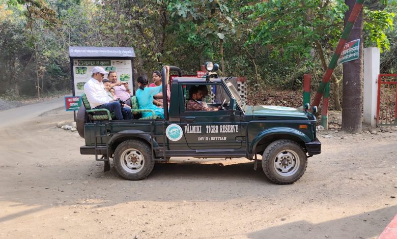 Valmikinagar Tiger Reserve Jungle Safari